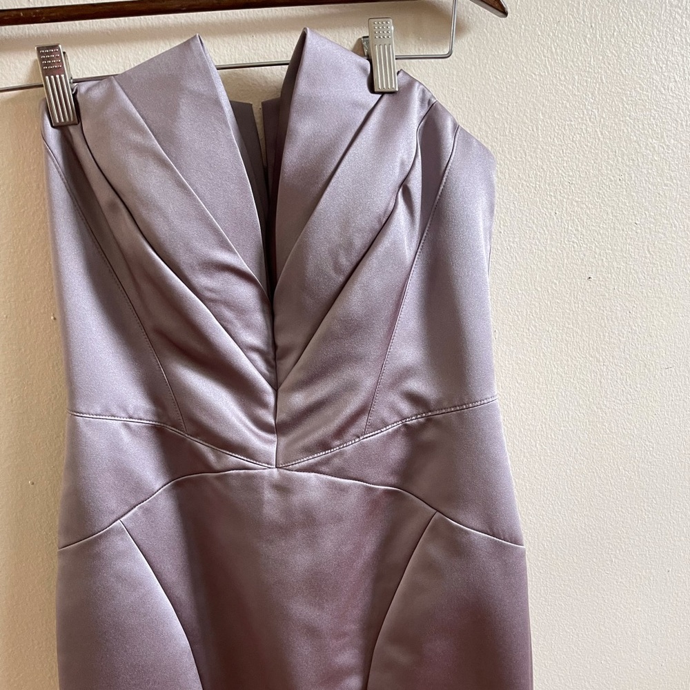 Zac Posen Strapless Elegant Dress